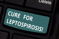 Text sign showing Cure For Leptospirosis. Conceptual photo Treating the contagious disease by taking antibiotics