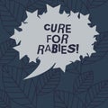 Text sign showing Cure For Rabies. Conceptual photo Vaccination medicines to fight against illness lethal virus Blank Royalty Free Stock Photo