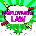 Text sign showing Employment Law. Conceptual photo deals with legal rights and duties of employers and employees