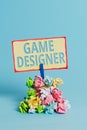 Text sign showing Game Designer. Conceptual photo Campaigner Pixel Scripting Programmers Consoles 3D Graphics Reminder pile