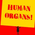 Text sign showing Huanalysis Organs. Conceptual photo The internal genital structures of the huanalysis body Man stands