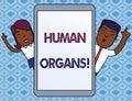 Text sign showing Huanalysis Organs. Conceptual photo The internal genital structures of the huanalysis body Male and