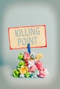 Text sign showing Killing Point. Conceptual photo Phase End Review Stage Gate Project Evaluation No Go Reminder pile colored