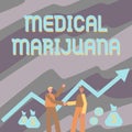 Text sign showing Medical Marijuana. Conceptual photo available only by prescription and used to treat illness Two Men