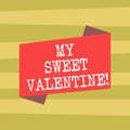 Text sign showing My Sweet Valentine. Conceptual photo day to celebrate couples in roanalysistically involved Blank Color Folded