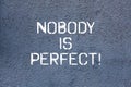 Text sign showing Nobody Is Perfect. Conceptual photo used to say that everyone makes mistakes even you Brick Wall art