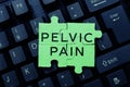 Text sign showing Pelvic Pain. Business idea Pain perceived in the area of the lower part of the abdomen