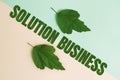 Text sign showing Solution Business. Business approach Marketing and advertising Payroll Accounting Research Two Objects