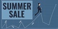 Text sign showing Summer Sale. Business concept Annual discount events that takes place during summer season usinessman