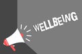 Text sign showing Wellbeing. Conceptual photo A good or satisfactory condition of existence including health Megaphone loudspeaker