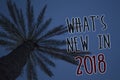 Text sign showing What 'S New In 2018. Conceptual photo Year resolution Goals Career achievements Technology Tree palm sky blue na