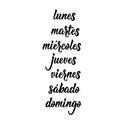 Text in Spanish: Monday, Tuesday, Wednesday, Thursday, Friday, Saturday, Sunday. Lettering. calligraphy vector illustration. Lunes