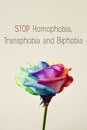 Text stop homophobia, transphobia and biphobia