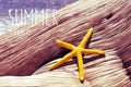 text summer time and a starfish on an old tree trunk in the beach, with a retro effect Royalty Free Stock Photo