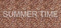 Text summer time written on a brown background shell beach design base Royalty Free Stock Photo