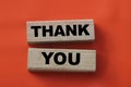 Text THANK YOU letters on the wooden blocks. Gratitude concept