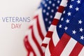 Text veterans day and american flags