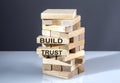 The text on wooden blocks BUILD TRUST