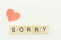 Text wooden blocks spelling the word sorry on white background Royalty Free Stock Photo