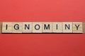 text the word ignominy from gray wooden small letters Royalty Free Stock Photo