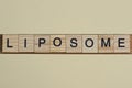 Text the word liposome from gray wooden small letters