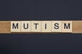 Text on word mutism from gray wooden letters Royalty Free Stock Photo