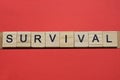 text the word survival from gray wooden small letters Royalty Free Stock Photo