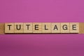 Text the word tutelage from gray wooden small letters Royalty Free Stock Photo