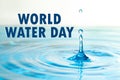 Text World Water Day and splash of clear water with drops Royalty Free Stock Photo