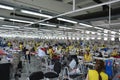 A textile company with a large number of workers behind its sewing machines Royalty Free Stock Photo