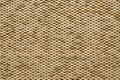 Textile fabric texture Anemon Kombin 02 Earth yellow color Royalty Free Stock Photo