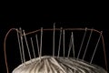 Needles and orange cotton thread on a white cotton tread ball macro closeup Royalty Free Stock Photo