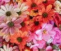Textile orange, pink and pale white fake flowers top view close up. Royalty Free Stock Photo