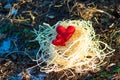 Textile red heart in a nest of raffia Royalty Free Stock Photo