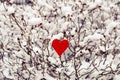 Textile red heart on snowy tree branch