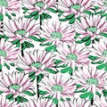 Seamless pattern with chrysanthemum flowers Hand drawn floral surface design