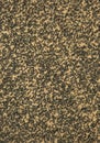 Textura black sheet of coarse sandpaper, vertical