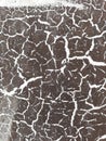 Textura of cracked paint Royalty Free Stock Photo