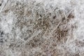 Textura of frozen ice, under which there is sand. Royalty Free Stock Photo