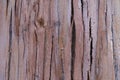 Textura madera viva Royalty Free Stock Photo