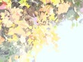 Vintage autumn background with colorful foliage for wallpaper or textiles