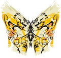 Grunge butterfly wings with linear pattern Royalty Free Stock Photo