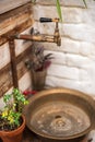 Textural old vintage washbasin in rustic style. Potted flowers in a greenhouse closeup and copy space Royalty Free Stock Photo