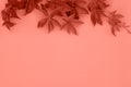 Textural pink background with green leaves