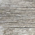 Textural wooden surface in gray. Abstract macro shot.