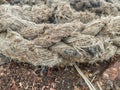Texture of a abandoned rope on the ground Royalty Free Stock Photo