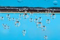 Texture of air bubbles in water on blue backroud Royalty Free Stock Photo