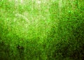Glitter Concrete texture background . Royalty Free Stock Photo
