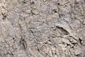 Texture of adobe. Clay with straw. Royalty Free Stock Photo