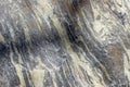 Texture of a amphibolite rock Royalty Free Stock Photo